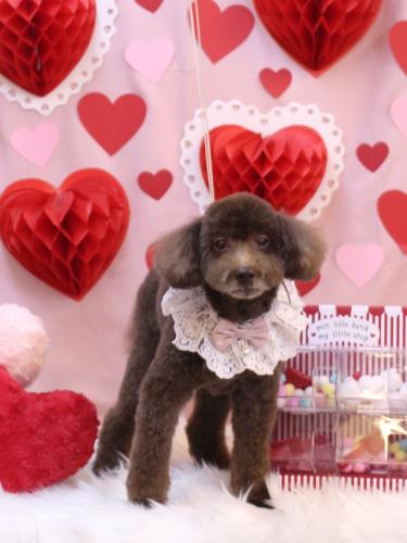 20240218杏ちゃん